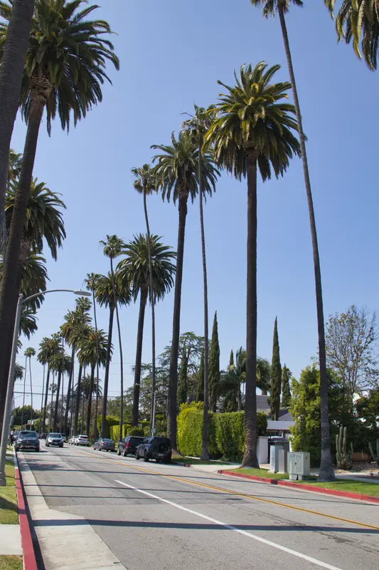 Los Angeles, avril 2025