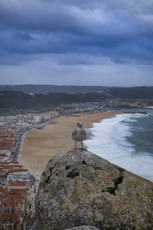 Portugal, novembre 2023