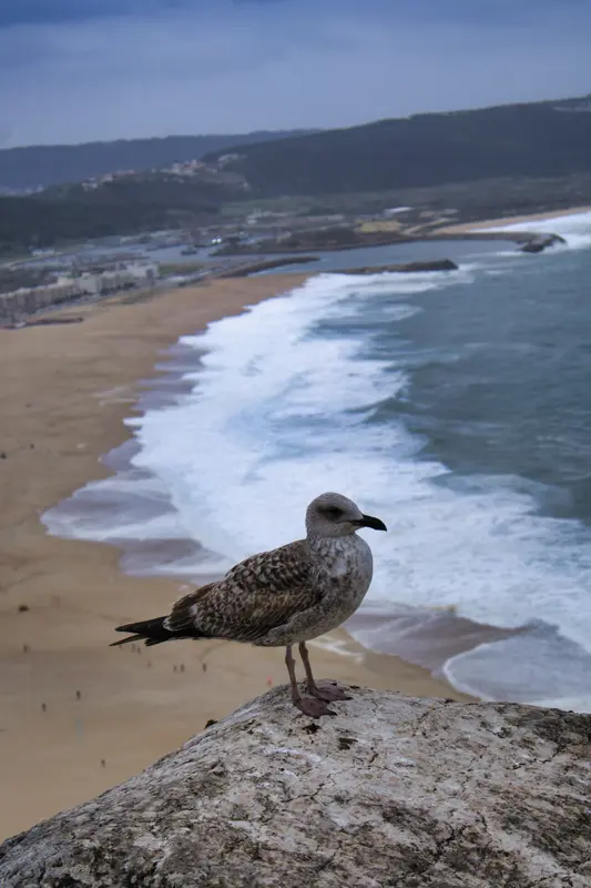 Portugal, novembre 2023