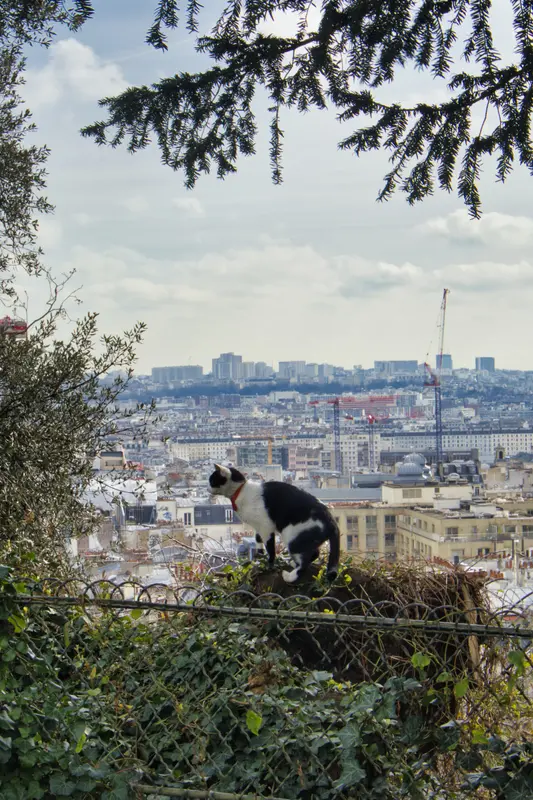 Paris, février 2024